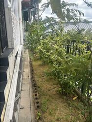 Sembawang Springs Estate (D27), Terrace #529824881